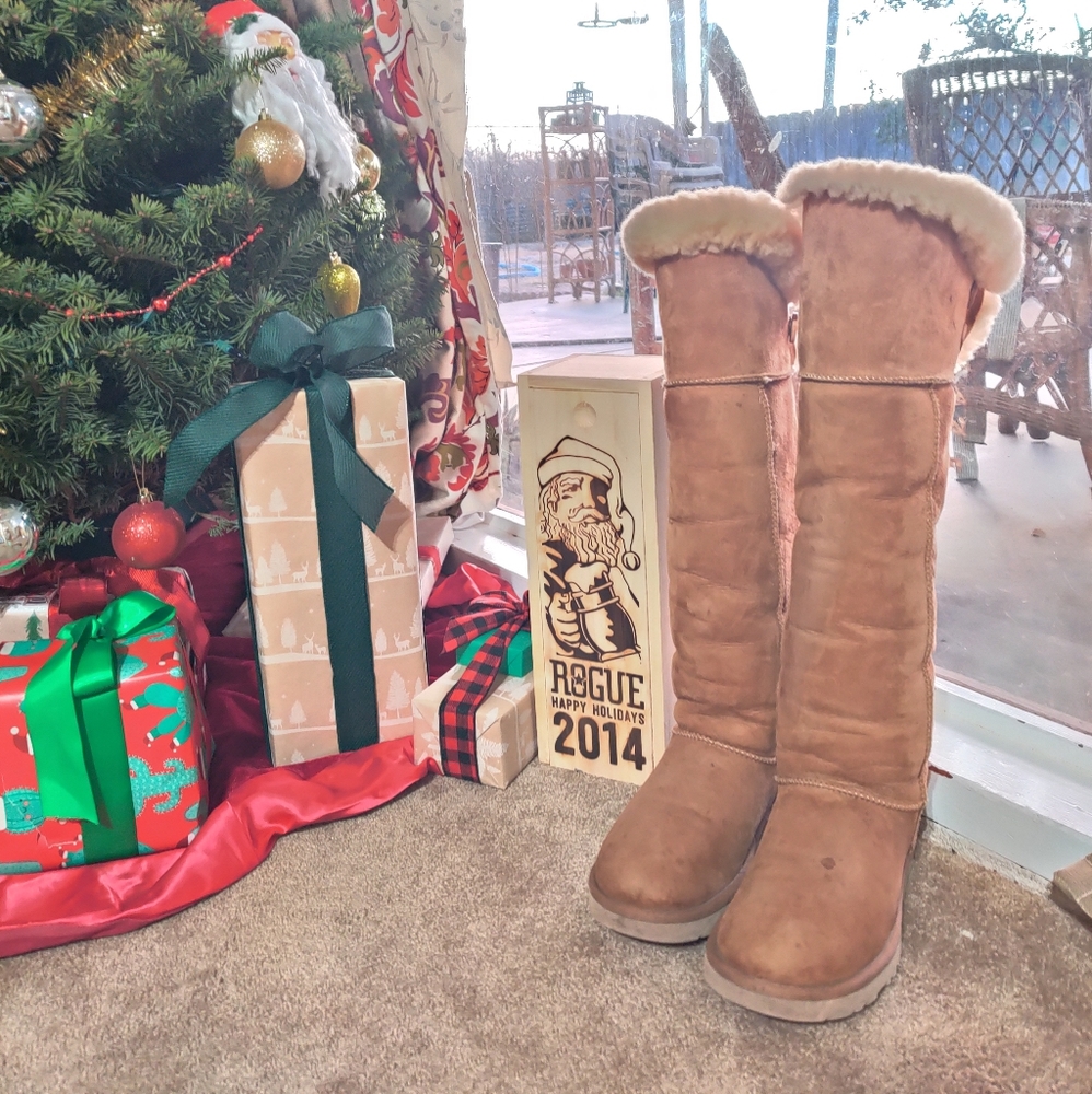 Ugg Suede Over the Knee Boots